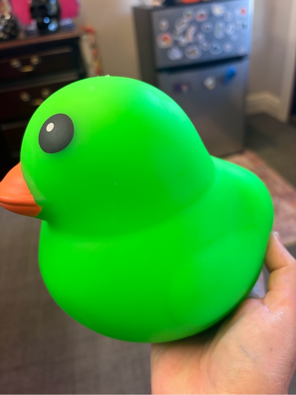 Green squishy duck